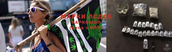 мяу мяу мука Арсеньев