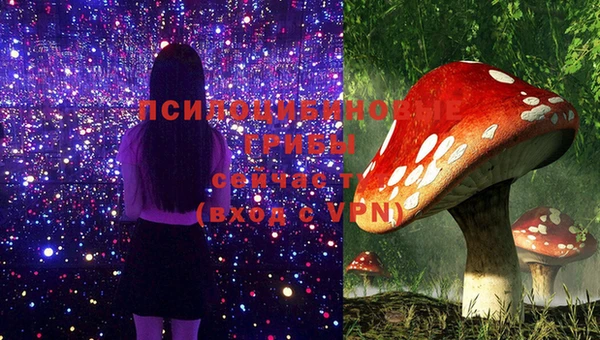 ПСИЛОЦИБИНОВЫЕ ГРИБЫ Армянск