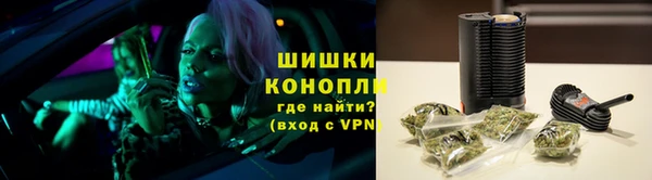 ПСИЛОЦИБИНОВЫЕ ГРИБЫ Армянск