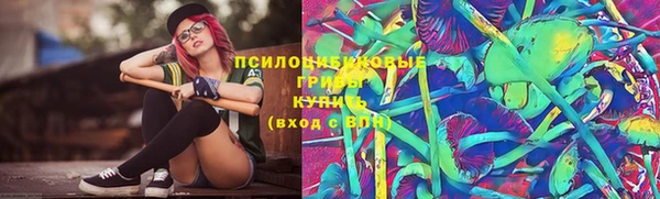 Альфа ПВП Рославль
