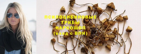 Альфа ПВП Рославль