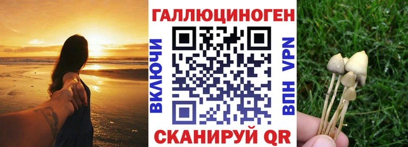 Псилоцибиновые грибы мухоморы  Лесной 