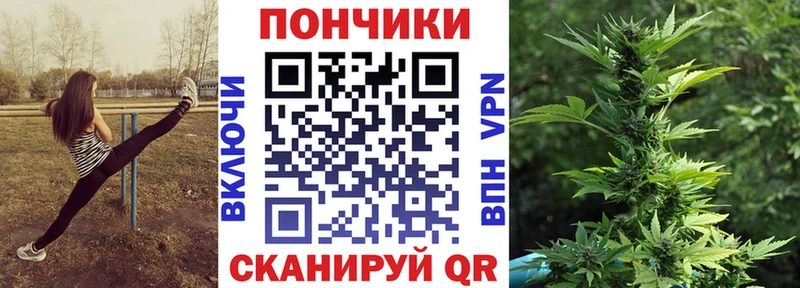Каннабис планчик  закладка  Лесной 